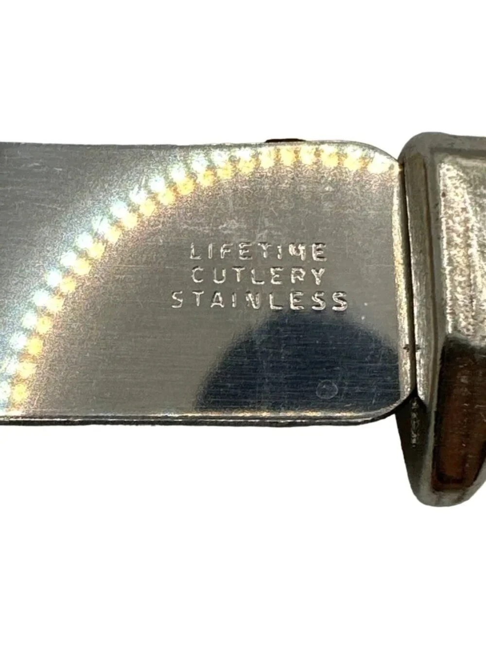 Lifetime Cutlery elevate your